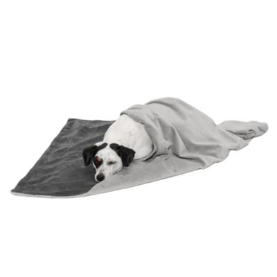 FurHaven Velvet Waterproof Pet Throw Blanket