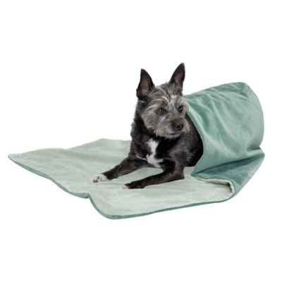 Fluffy Dog Blankets at Tractor Supply Co.