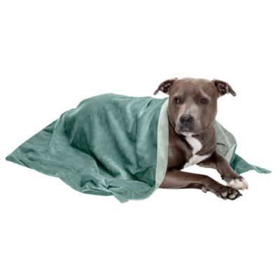 FurHaven Velvet Waterproof Pet Throw Blanket