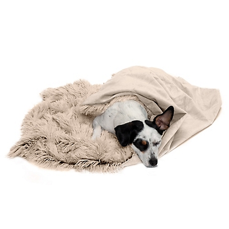 FurHaven Long Fur and Velvet Pet Throw Blanket at Tractor Supply Co.