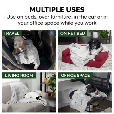 Image showing  Long Fur and Velvet Pet Throw Blanket