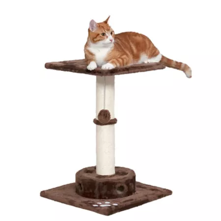 FurHaven Cat Playground Scratching Furniture with Cat-IQ Busy Box Cat Trees & Condos