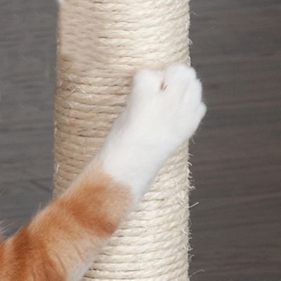 Image showing  17.32 in Tiger Tough Plush Cat Hammock, Cream