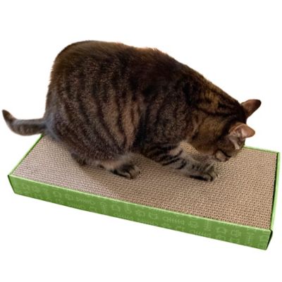 FurHaven Standard Corrugated Flat Scratcher with Catnip, Green