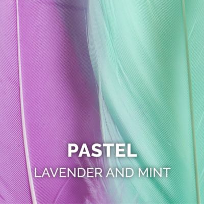 Image showing 5 th FurHaven Tiger Tough Dizzy Feather Wand Cat Toy, Lavender