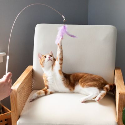 Image showing 7 th FurHaven Tiger Tough Dizzy Feather Wand Cat Toy, Lavender