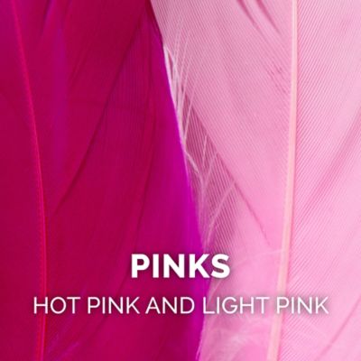 Image showing 5 th FurHaven Tiger Tough Dizzy Feather Wand Cat Toy, Pink