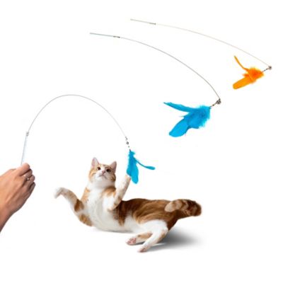 FurHaven Tiger Tough Dizzy Feather Wand Cat Toy - Parrot (Bright Blue &  Orange) at Tractor Supply Co.