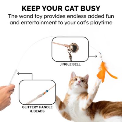 Image showing  Tiger Tough Dizzy Feather Wand Cat Toy, Bright Blue/Orange