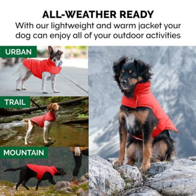 Image showing  Reversible Reflective Puffer Dog Coat