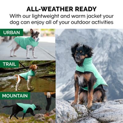 Image showing  Reversible Reflective Puffer Dog Coat