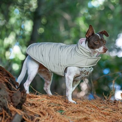 Image showing 9 th FurHaven Reversible Reflective Puffer Dog Coat