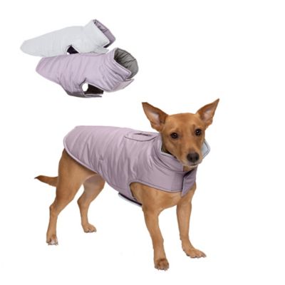 Image showing  Reversible Reflective Puffer Dog Coat