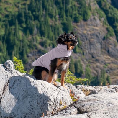 Image showing 9 th FurHaven Reversible Reflective Puffer Dog Coat