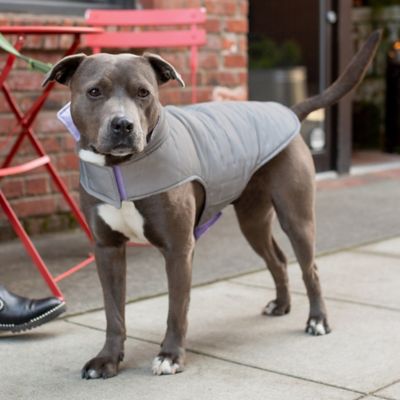 Image showing 9 th FurHaven Reversible Reflective Puffer Dog Coat