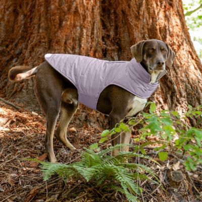Image showing 9 th FurHaven Reversible Reflective Puffer Dog Coat
