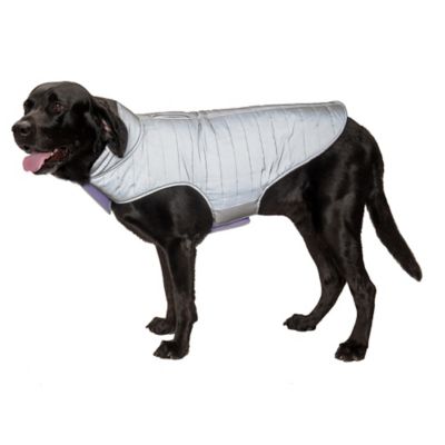 Image showing  Reversible Reflective Puffer Dog Coat