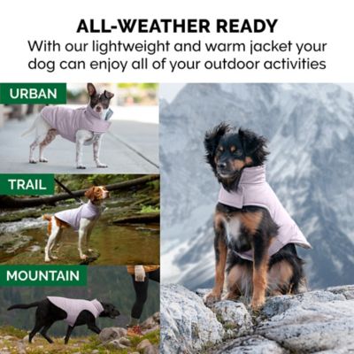 Image showing  Reversible Reflective Puffer Dog Coat
