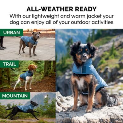 Image showing  Reversible Reflective Puffer Dog Coat