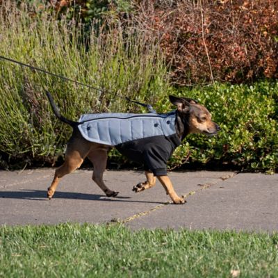 Image showing 9 th FurHaven Pro-Fit Dog Coat
