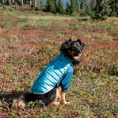 Image showing 9 th FurHaven Pro-Fit Dog Coat