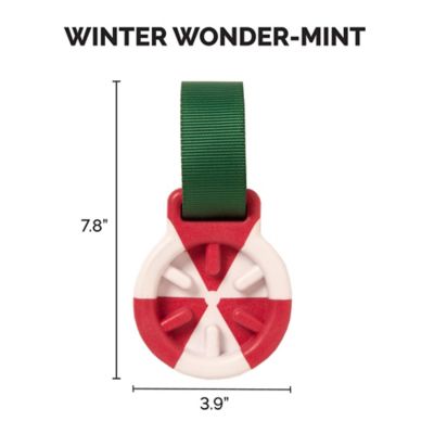 Image showing  Winter Wonder-Mint Holiday Slow Feeder Dog Toy