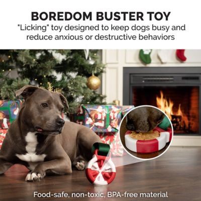 Image showing  Winter Wonder-Mint Holiday Slow Feeder Dog Toy
