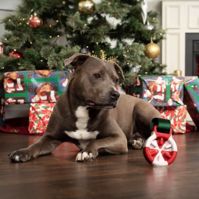 Image showing 7 th FurHaven Winter Wonder-Mint Holiday Slow Feeder Dog Toy