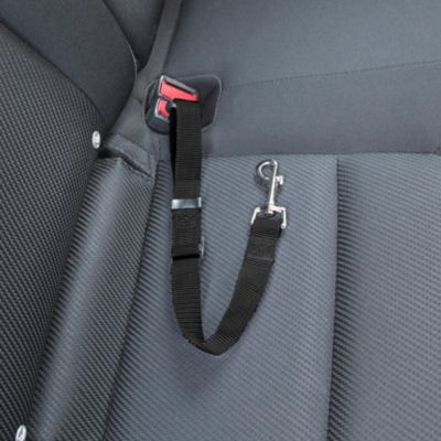 Image showing  Pet Car Seat Safety Clip, Black