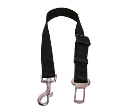 Image showing  Adjustable Pet Car Seat Clip