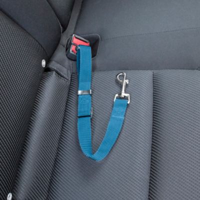 Image showing  Pet Car Seat Safety Clip, Lagoon Blue