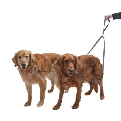 FurHaven Tangle Free Dual Dog Leash