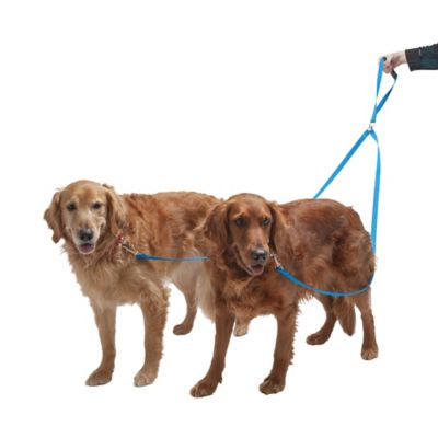 FurHaven Tangle Free Dual Dog Leash Dual dog leash
