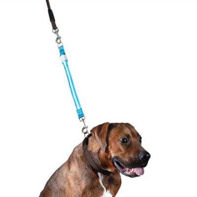 FurHaven LED Dog Leash Extender