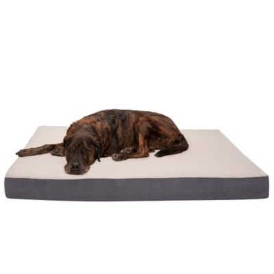 FurHaven Ultra Plush Luxe Lounger Orthopedic Pet Bed at Tractor Supply Co.