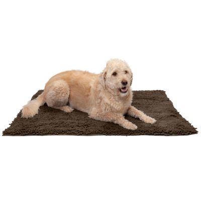 Dog deals mud rug