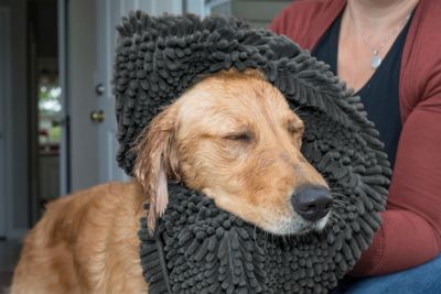 Image showing 8 th FurHaven Small Muddy Paws Towel & Shammy Rug - Gray