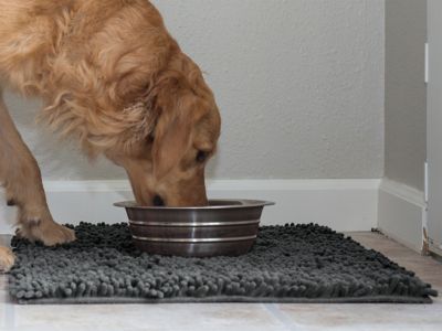 Image showing 9 th FurHaven Small Muddy Paws Towel & Shammy Rug - Gray
