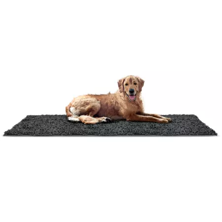 FurHaven Muddy Paws Ultra Absorbent Pet Towel and Shammy Dog Mat 60" x 30" Charcoal Gray Pet Blankets & Throws