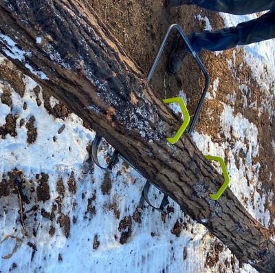 Image showing  Double Hook Timber Jack