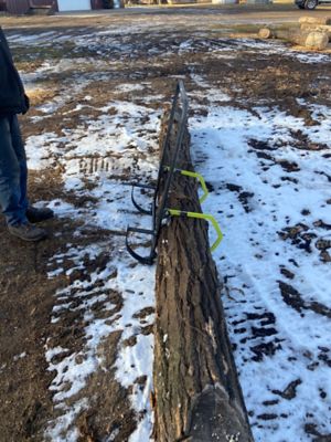 Image showing  Double Hook Timber Jack