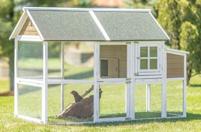 Zylina Superior Hen House, 8 Chicken Capacity