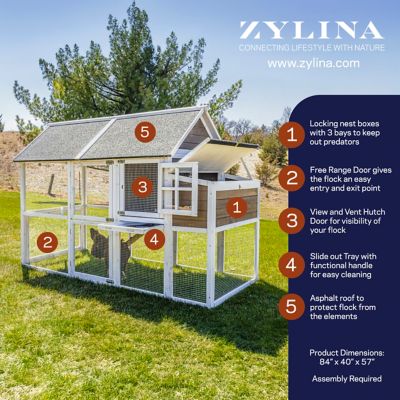 Image showing  Superior Hen House, 8 Chicken Capacity