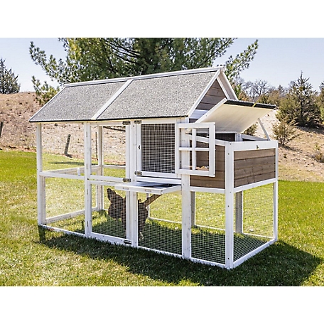 Zylina Superior Hen House, 8 Chicken Capacity at Tractor Supply Co.