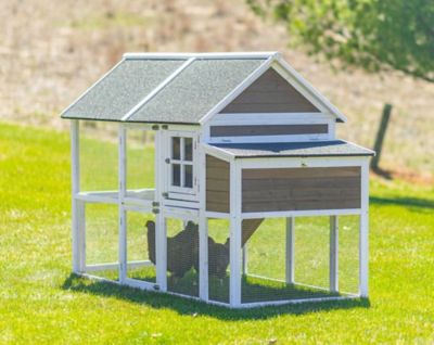 Image showing  Superior Hen House, 8 Chicken Capacity