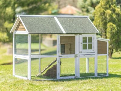 Image showing  Superior Hen House, 8 Chicken Capacity