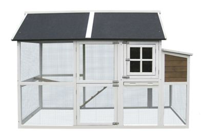 Image showing 8 th Zylina Superior Hen House, 8 Chicken Capacity