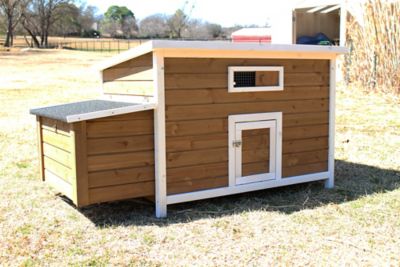 Zylina Chicken Nesting and Roosting Box with Outer Egg Box
