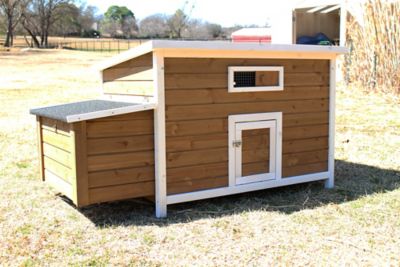 Zylina 2-Compartment Nesting and Roosting Box with Outer Egg Box