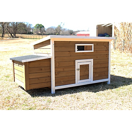 Zylina Chicken Nesting and Roosting Box with Outer Egg Box